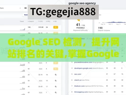 Google SEO 检测，提升网站排名的关键,掌握Google SEO检测，提升网站排名