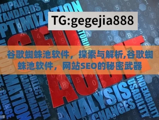 谷歌蜘蛛池软件，探索与解析,谷歌蜘蛛池软件，网站SEO的秘密武器