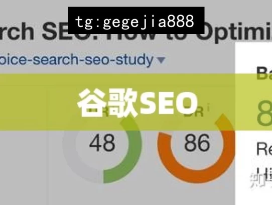 谷歌SEO，探索谷歌 SEO 的奥秘