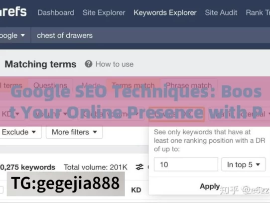 Google SEO Techniques: Boost Your Online Presence with Proven Strategies，Google SEO 技巧，提升在线影响力