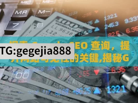 探索 Google SEO 查询，提升网站可见性的关键,揭秘Google SEO查询，提升网站流量的关键策略