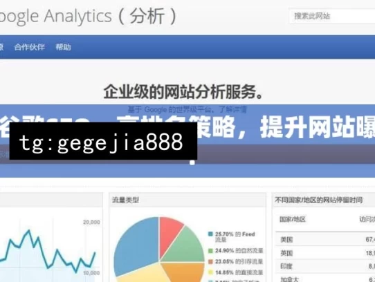 揭秘谷歌SEO，高排名策略，提升网站曝光度！，揭秘谷歌 SEO 的高排名策略