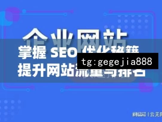 掌握 SEO 优化秘籍，提升网站流量与排名，掌握 SEO 优化秘籍 助力流量排名提升