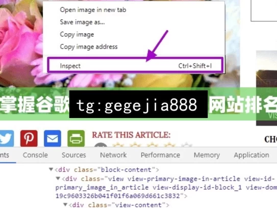 掌握谷歌 SEO 秘籍，提升网站排名，掌握谷歌 SEO 秘籍 助力网站排名提升