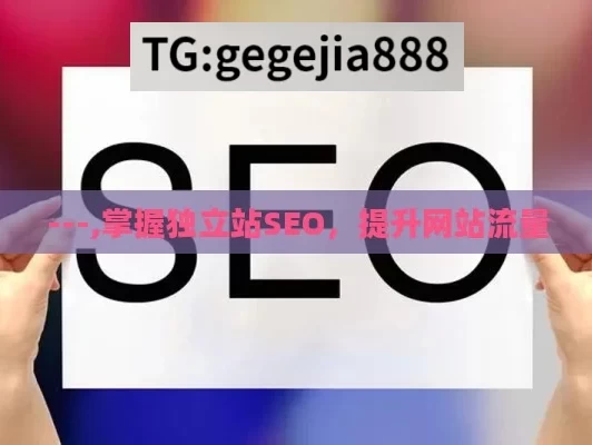 ---,掌握独立站SEO，提升网站流量