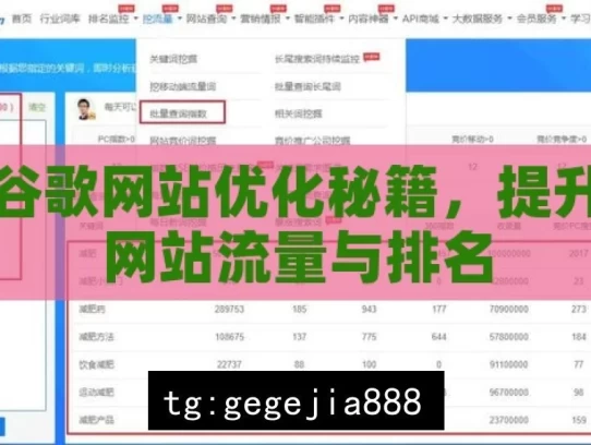 谷歌网站优化秘籍，提升网站流量与排名，谷歌网站优化的流量提升秘籍