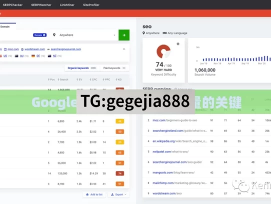 Google SEO，提升网站流量的关键