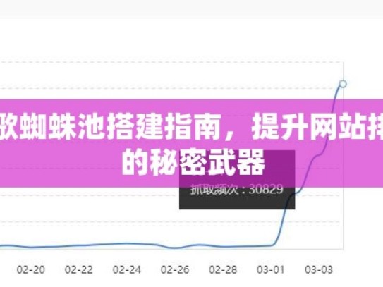 谷歌蜘蛛池搭建指南，提升网站排名的秘密武器