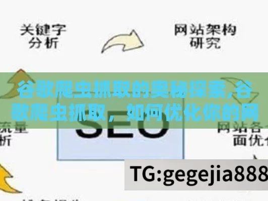 谷歌爬虫抓取的奥秘探索,谷歌爬虫抓取，如何优化你的网站以提升SEO排名