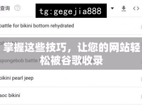 掌握这些技巧，让您的网站轻松被谷歌收录，掌握技巧使网站被谷歌收录