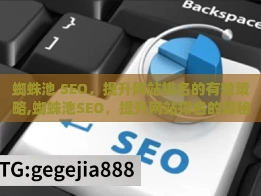 蜘蛛池 SEO，提升网站排名的有效策略,蜘蛛池SEO，提升网站排名的隐秘利器