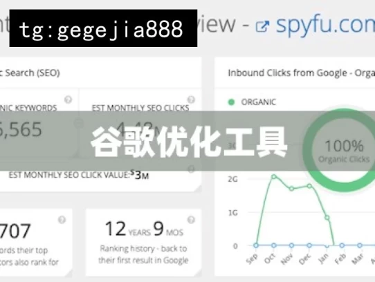 谷歌优化工具，探索谷歌优化工具的奥秘