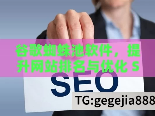 谷歌蜘蛛池软件，提升网站排名与优化 SEO 的神器？