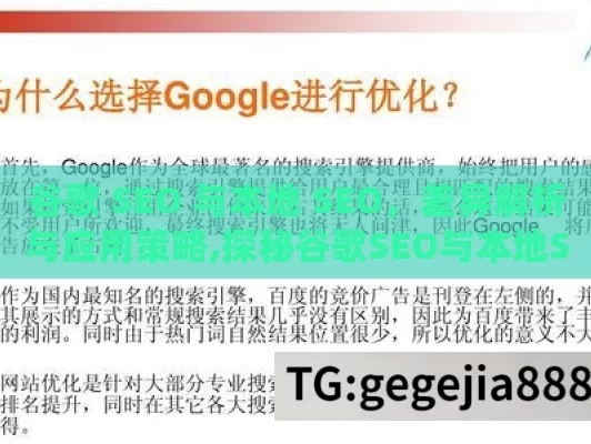 谷歌 SEO 与本地 SEO，差异解析与应用策略,探秘谷歌SEO与本地SEO的奥秘，揭秘两者的差异与实战应用