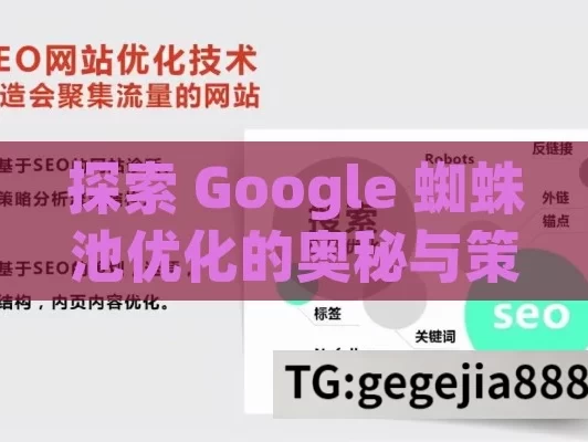 探索 Google 蜘蛛池优化的奥秘与策略,解锁Google蜘蛛池优化，提升网站排名的秘密武器