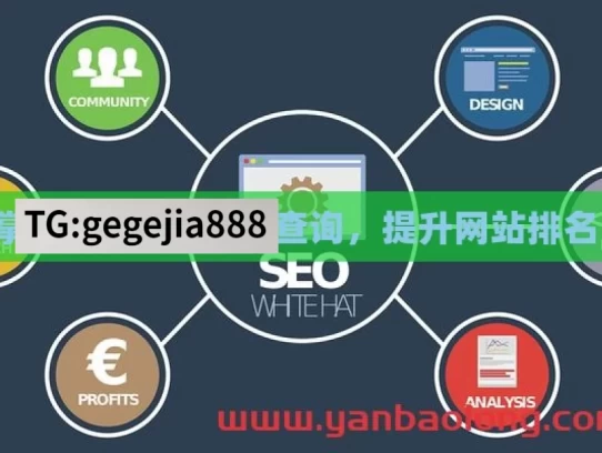 掌握Google SEO查询，提升网站排名！