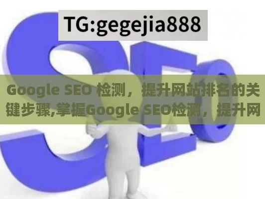 Google SEO 检测，提升网站排名的关键步骤,掌握Google SEO检测，提升网站排名的秘诀