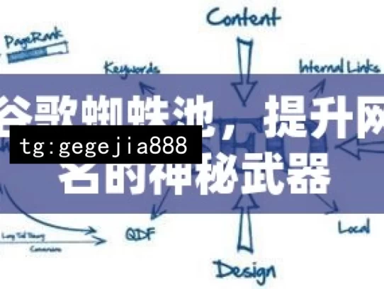 探秘谷歌蜘蛛池，提升网站排名的神秘武器，探秘谷歌蜘蛛池与网站排名提升