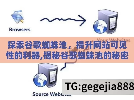 探索谷歌蜘蛛池，提升网站可见性的利器,揭秘谷歌蜘蛛池的秘密