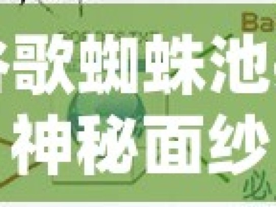 揭秘谷歌蜘蛛池搭建的神秘面纱