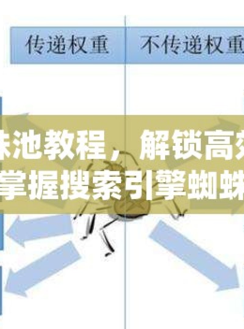 探秘蜘蛛池教程，解锁高效网络爬虫的秘密掌握搜索引擎蜘蛛池搭建教程，提升网站索引与可见性 - 