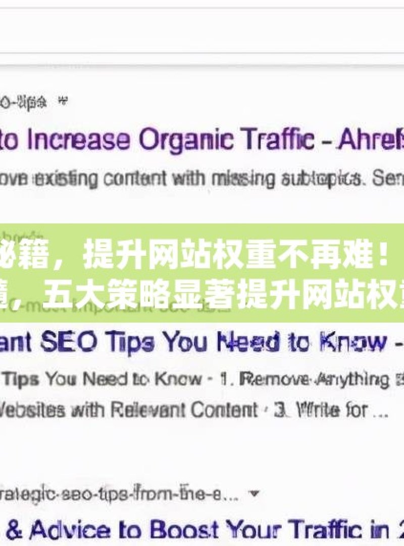 掌握谷歌 SEO 秘籍，提升网站权重不再难！掌握谷歌SEO精髓，五大策略显著提升网站权重 - 