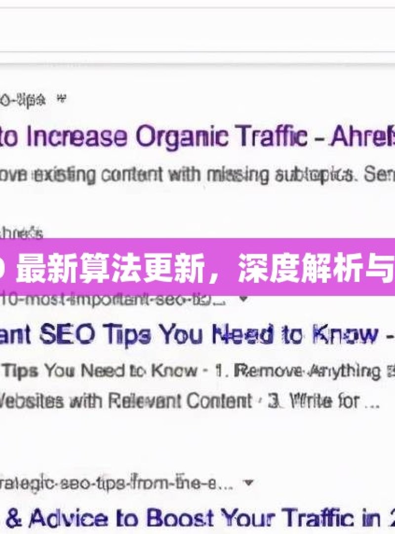 谷歌 SEO 最新算法更新，深度解析与应对策略