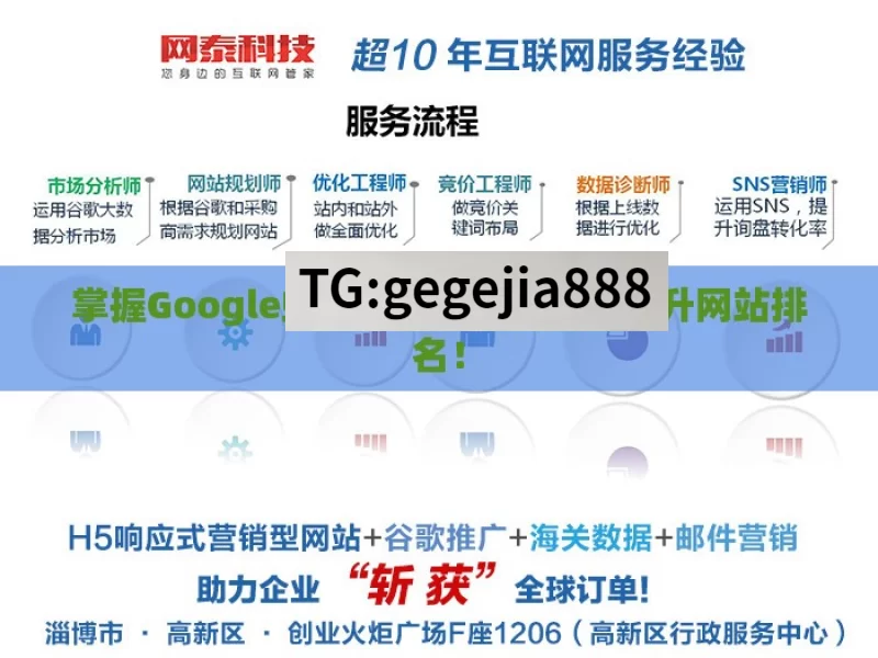 掌握Google蜘蛛池优化的秘诀，提升网站排名！