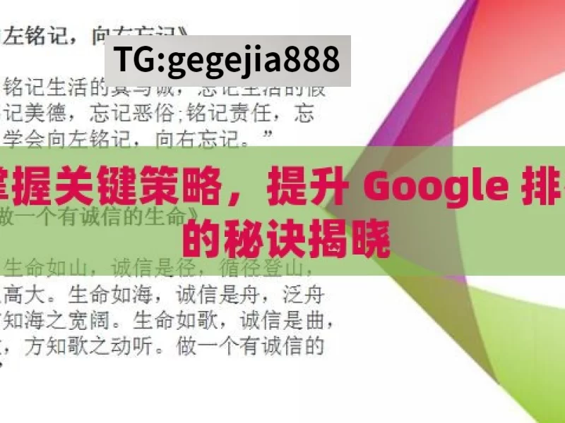 掌握关键策略，提升 Google 排名的秘诀揭晓