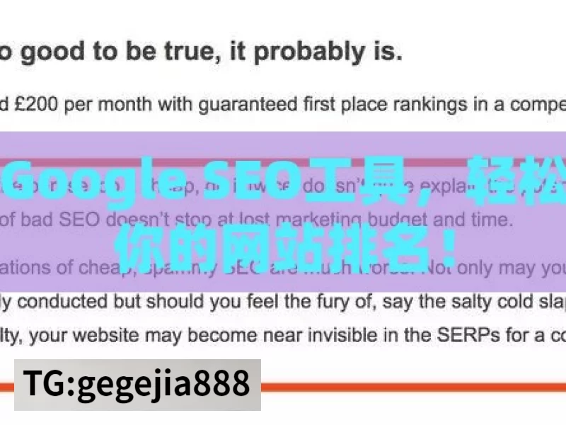 掌握Google SEO工具，轻松提升你的网站排名！