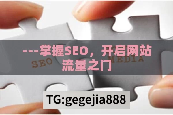 ---掌握SEO，开启网站流量之门