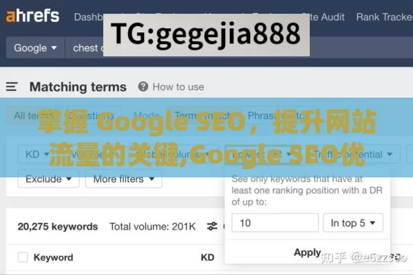 掌握 Google SEO，提升网站流量的关键,Google SEO优化指南