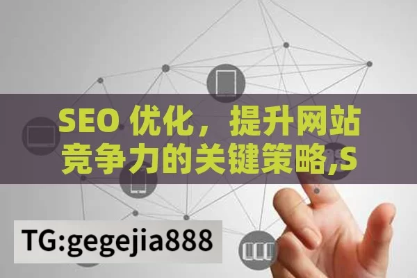 SEO 优化，提升网站竞争力的关键策略,SEO优化，提升网站流量的关键策略