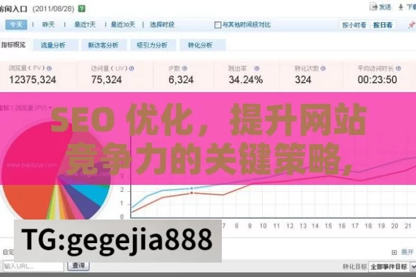 SEO 优化，提升网站竞争力的关键策略,SEO优化，提升网站流量的关键策略