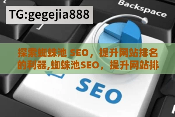 探索蜘蛛池 SEO，提升网站排名的利器,蜘蛛池SEO，提升网站排名的秘密武器