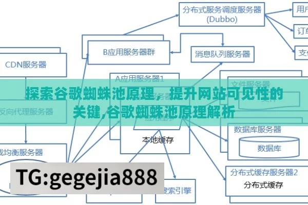 探索谷歌蜘蛛池原理，提升网站可见性的关键,谷歌蜘蛛池原理解析