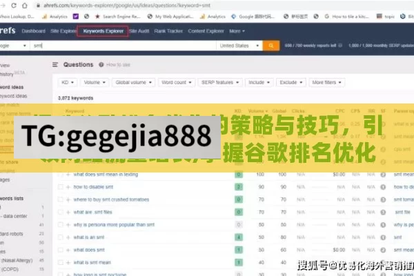 提升谷歌排名优化的策略与技巧，引领网站流量增长,掌握谷歌排名优化，提升网站流量