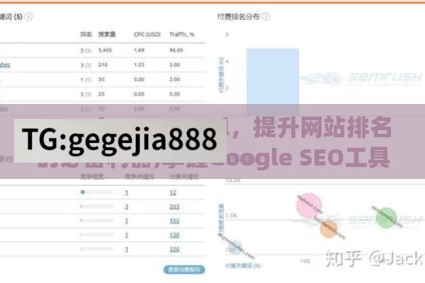 Google SEO Tool，提升网站排名的必备利器,掌握Google SEO工具的秘诀