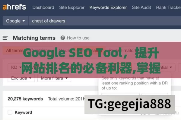 Google SEO Tool，提升网站排名的必备利器,掌握Google SEO工具的秘诀