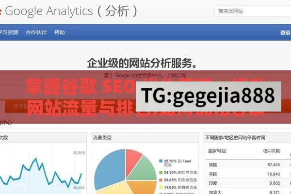 掌握谷歌 SEO 优化策略，提升网站流量与排名,如何优化谷歌SEO