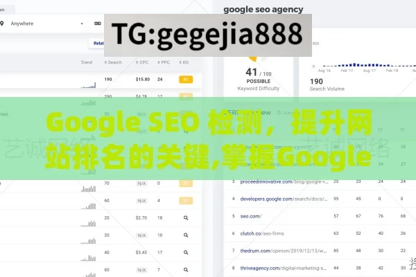 Google SEO 检测，提升网站排名的关键,掌握Google SEO检测，提升网站排名