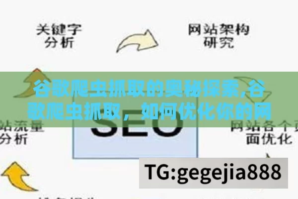 谷歌爬虫抓取的奥秘探索,谷歌爬虫抓取，如何优化你的网站以提升SEO排名