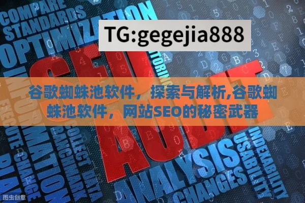 谷歌蜘蛛池软件，探索与解析,谷歌蜘蛛池软件，网站SEO的秘密武器